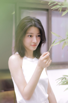 金剑雕翎